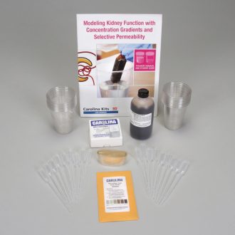 Modeling Kidney Function with Concentration Gradients and Selective Permeability Kit