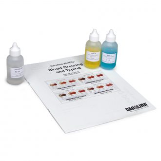 ABO/Rh Antisera Set, Bulk (50 mL each of anti-A, B, and D(Rh) sera)