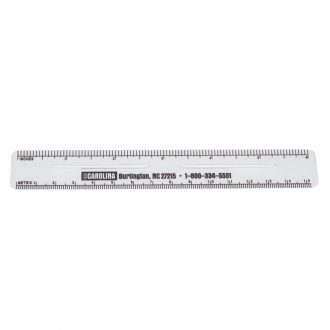 Ruler, Transparent Vinyl, Pack of 12