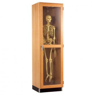Hanging Model Skeleton Cabinet