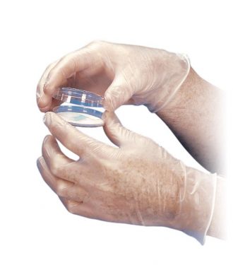 Disposable Vinyl Gloves, Medium, Dispenser of 100