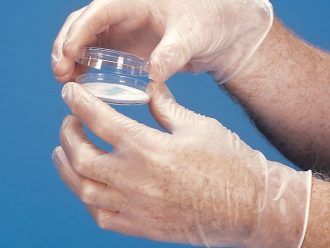 Disposable Vinyl Gloves, Large, Dispenser of 100