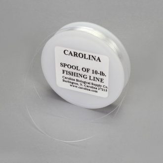 Clear Fishing Line, 10-lb Test, 60 ft