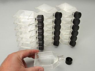Tissue Culture Flask