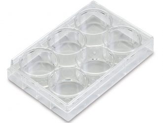 6-Well Cell Culture Plate