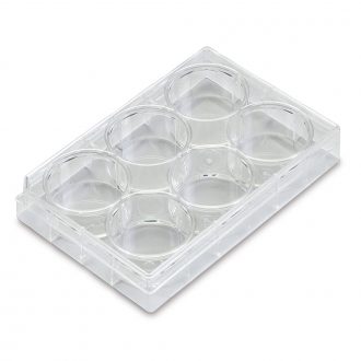 6-Well Cell Culture Plate