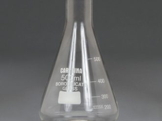 Carolina Standard Grade Erlenmeyer Flasks, 500 mL, Pack of 6