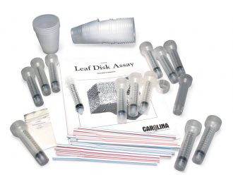 Leaf Disk Assay