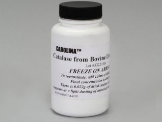 Lyophilized (freeze-dried) Catalase