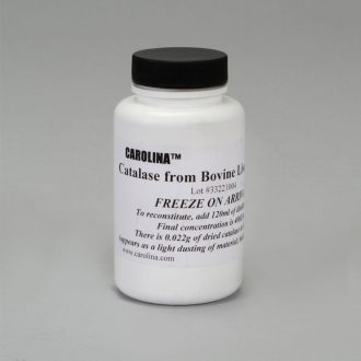 Lyophilized (freeze-dried) Catalase