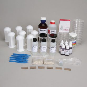 Cell Division: Mitosis and Meiosis Materials Kit (with perishables) for AP® Example Labs