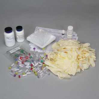 Biotechnology: Restriction Enzymes Analysis of DNA Materials Kit for AP® Example Labs