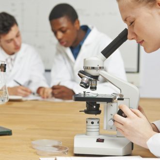 Materials Kit Bundle for AP® Biology Example Labs