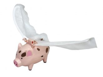 The Flying Pig