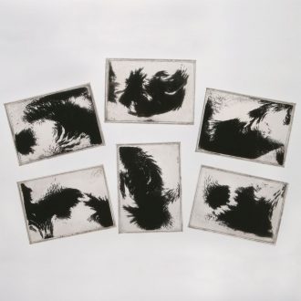 Student Magnetic Field Demonstrator Value Pack