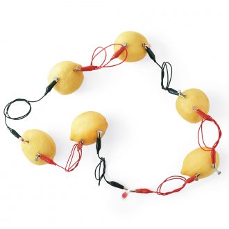 Carolina® Lemon Battery Individual Kit