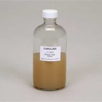 DNAse Agar, Prepared Media Bottle, 135 mL