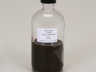EMB Agar, Prepared Media Bottle, 125 mL