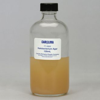 Halobacterium Agar, Prepared Media Bottle, 135 mL