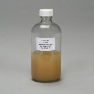 Mueller Hinton Agar, Prepared Media Bottle, 125 mL