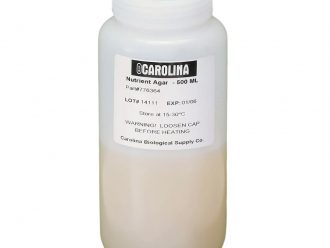 Nutrient Agar, Prepared Media Bottle, 500 mL