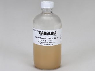 Nutrient Agar, 1.5%, Prepared Media Bottle, 125 mL