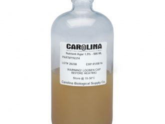 Nutrient Agar, 1.5%, Prepared Media Bottle, 500 mL
