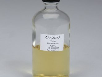 Nutrient Broth, Prepared Media Bottle, 125 mL