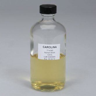 Nutrient Broth, Prepared Media Bottle, 125 mL