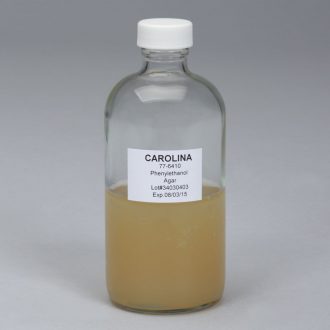 Phenylethanol Agar, Prepared Media Bottle, 125 mL