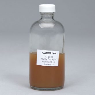 Tryptic Soy Agar, Prepared Media Bottle, 125 mL