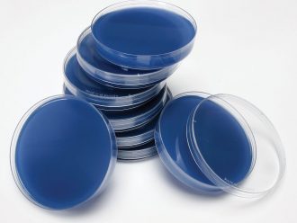 Spirit Blue Agar, Prepared Media Plates, 100 x 15 mm, Pack of 10