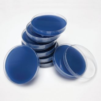Spirit Blue Agar, Prepared Media Plates, 100 x 15 mm, Pack of 10