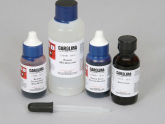 Gram Stain Kit, Small