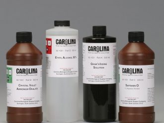 Gram Stain Kit, Large