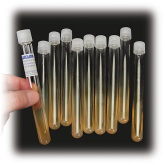 Photobacterium Agar, Prepared Media Tubes, Pack of 10