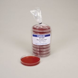 MacConkey Agar, Prepared Media Plates, 100 x 15 mm, Pack of 10