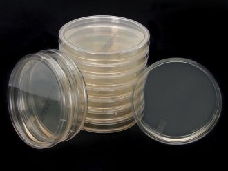 Sabouraud Dextrose Agar, Prepared Media Plates, 100 x 15 mm, Pack of 10