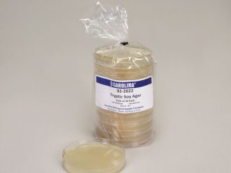 Tryptic Soy Agar, Prepared Media Plates, 100 x 15 mm, Pack of 10