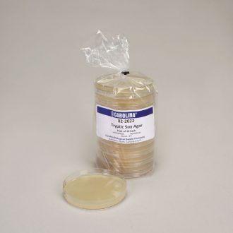 Tryptic Soy Agar, Prepared Media Plates, 100 x 15 mm, Pack of 10