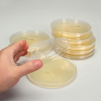 Mueller Hinton Agar, Prepared Media Plates 150 x 15 mm, Pack 10