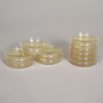 Contact Plates, Pack 10