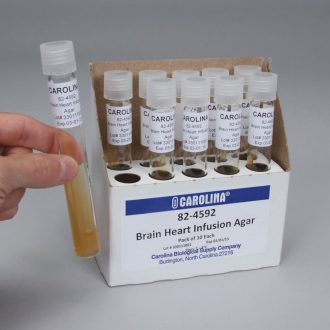 Brain Heart Infusion Agar Slant, Prepared Media Tubes, Pack of 10