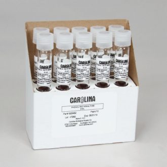 Phenol Red Broth Base Maltose with Durham Tube, Prepared Media Tubes, Pack 10