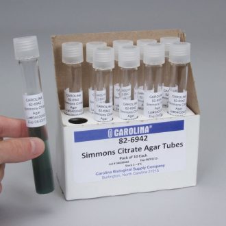 Simmons Citrate Agar, Slant, Prepared Media Tubes, Pack of 10
