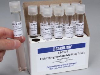 Thioglycollate Medium, Fluid, Prepared Media Tubes, Pack of 10