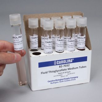 Thioglycollate Medium, Fluid, Prepared Media Tubes, Pack of 10