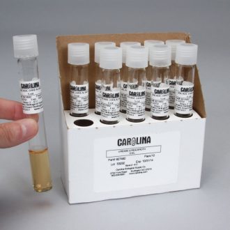 Urease Broth, Prepared Media Tubes, Pack of 10