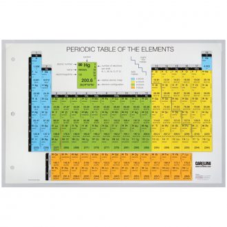 Carolina® Student Infographic Periodic Table