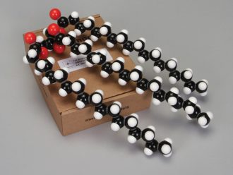 Molymod® Fat Model Kit